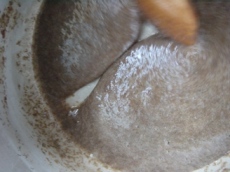 ��ꂪ�����Ă��܂���