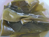 �P�T����̂ɂ��荩�z