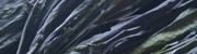 佐渡わかめ
